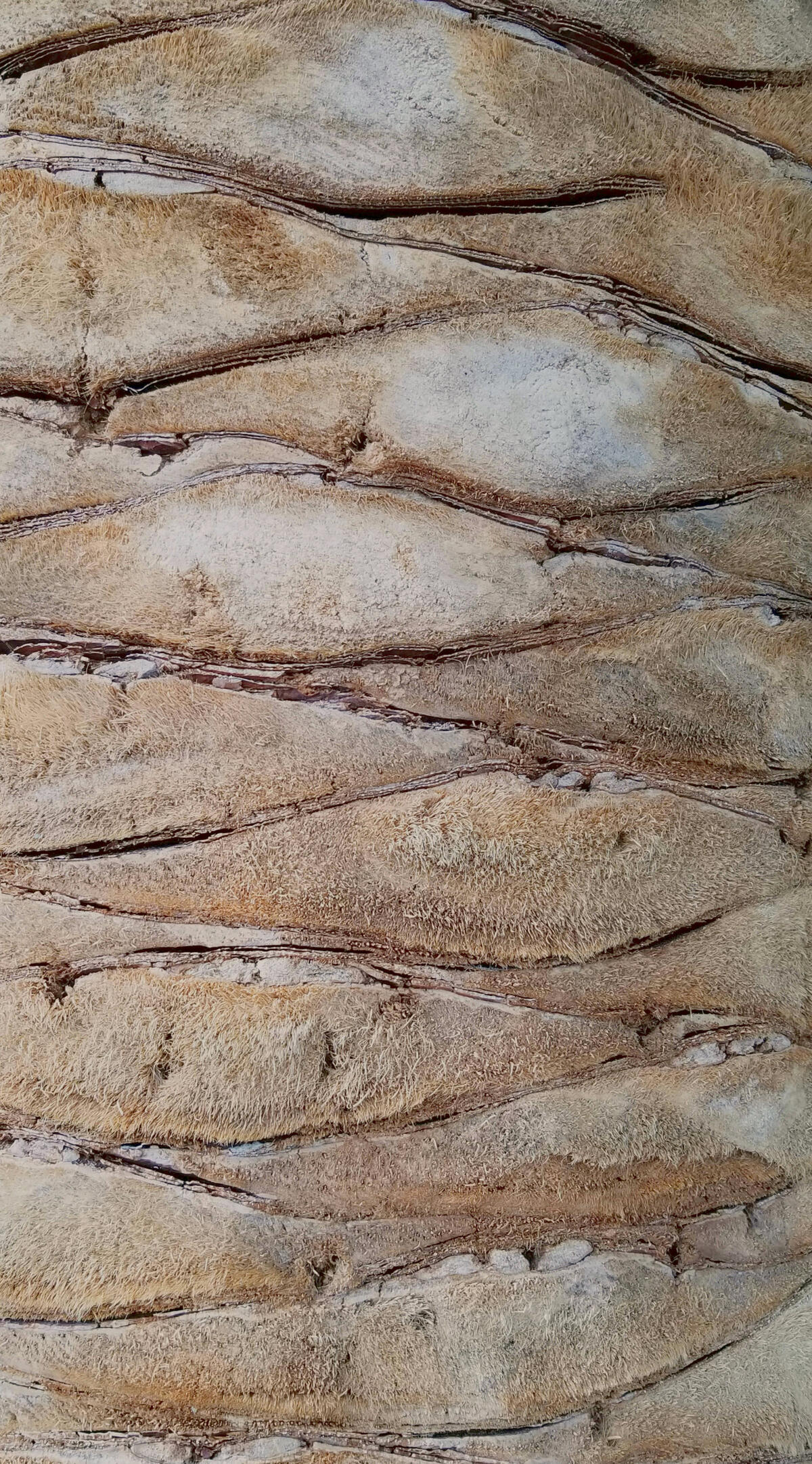 Leadership Leadership