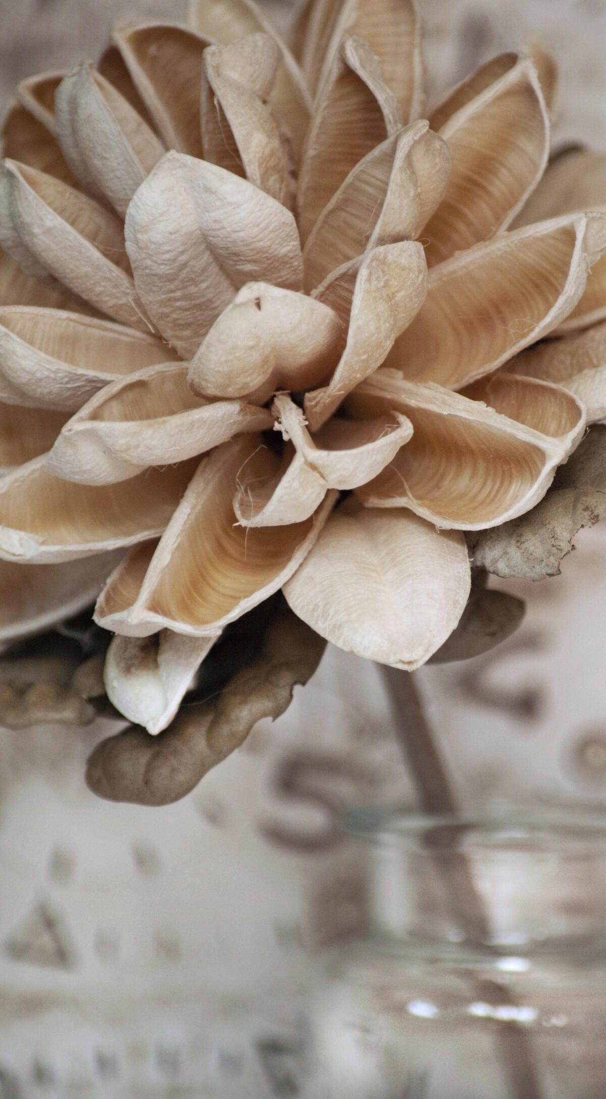 Sustainability Sustainability